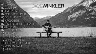 Download lagu Dave Winkler - Most Viewed Acoustic Covers mp3