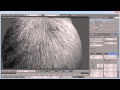 Blender 2.7 Tutorial: Hair Simulation |video2brain ...