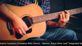 Video thumbnail for Seagull Coastline Momentum A/E HG Demo Test by Vincenzo Grieco by Vincenzogrieco