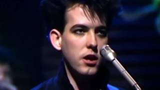 Primary - The Cure Live 1981