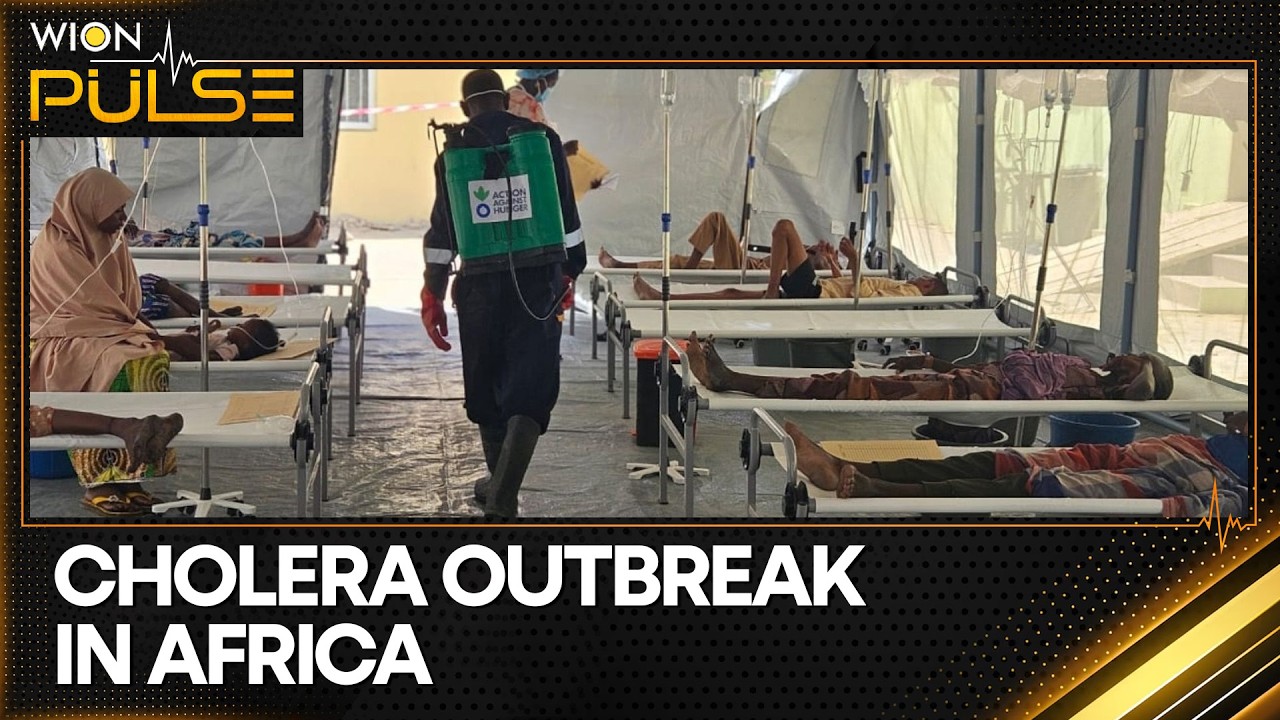 Central African Republic Declares Cholera Outbreak After Ebola Crisis | WION Pulse
