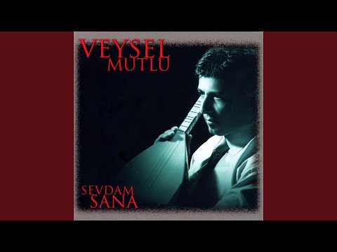 Sevdam Sana