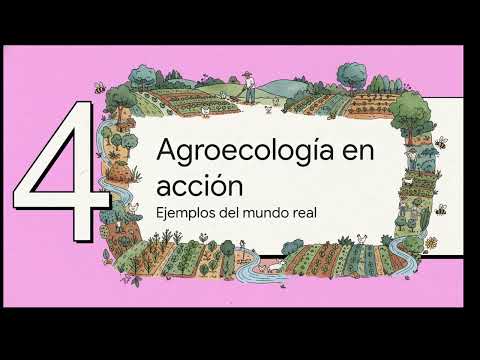 ¿Qué es la agroecología?