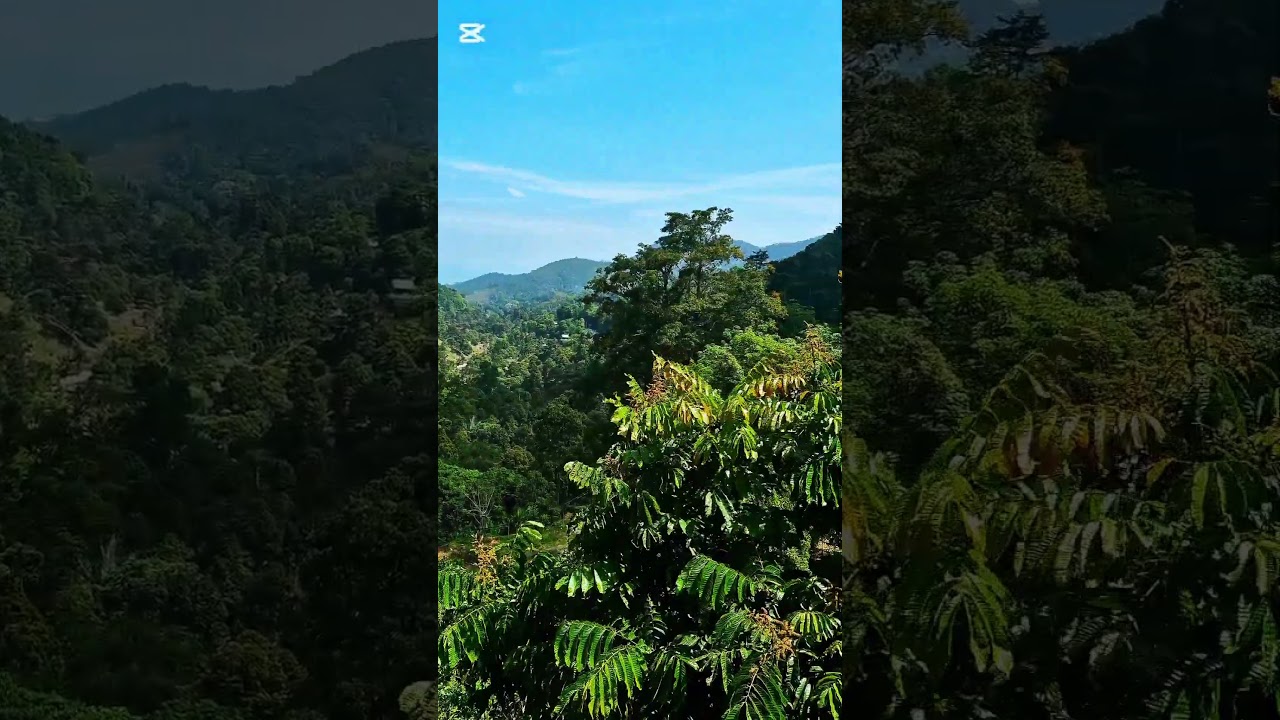 YouTube Short thumbnail