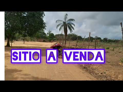 Sitio a venda em Santana do cariri Ceará cont 88 988476514 