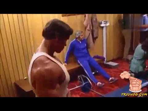 HULK VS TERMINATOR - LOU FERRIGNO VS ARNOLD SCHWARZENEGER