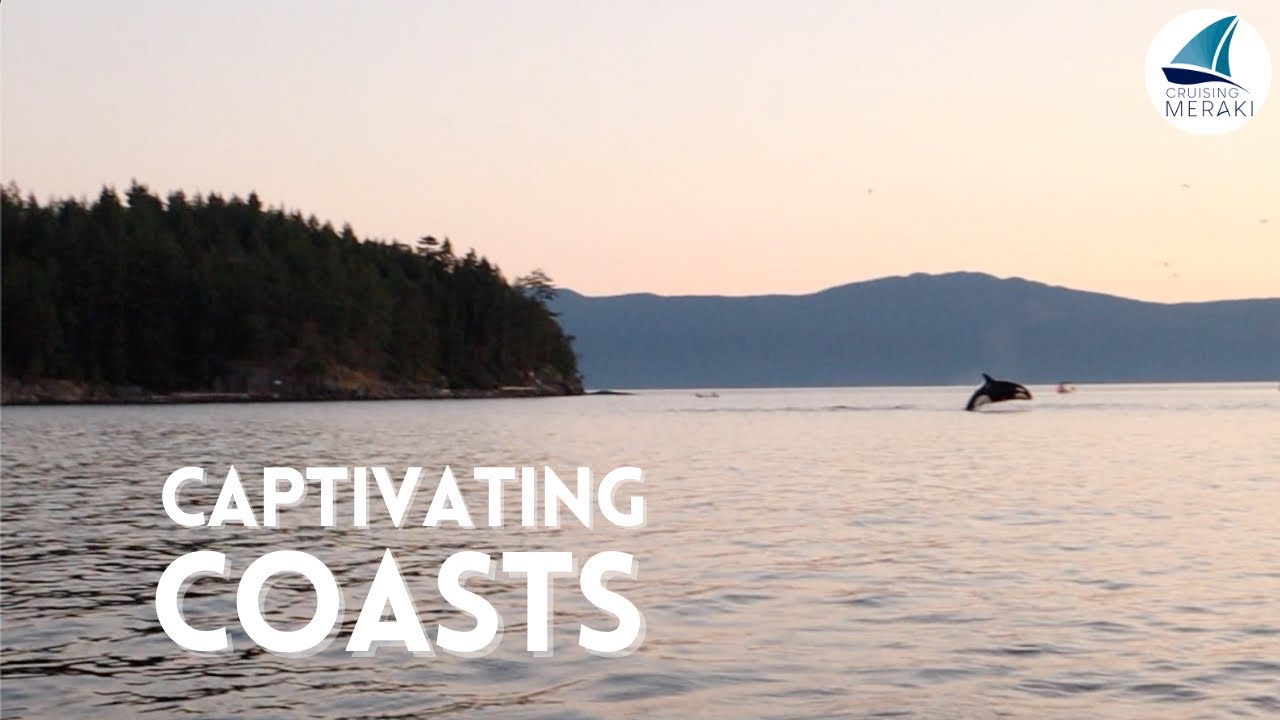 The BEST Killer Whale Sighting EVER! | Sunshine Coast Cruising | Cruising Meraki Ep  8