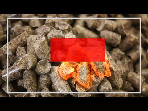 Zobacz filmy, Carbopol Hubert Olejniczak, Płock