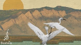 Songscape: Bear River Migratory Bird Refuge with Conner Youngblood