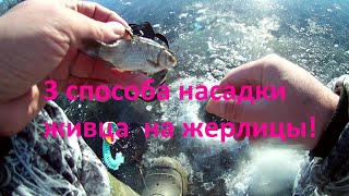Насадка на жерлицу кроме живца