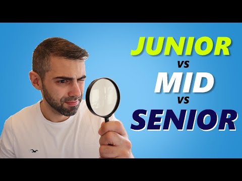 What's the difference between Junior Mid Senior developer
