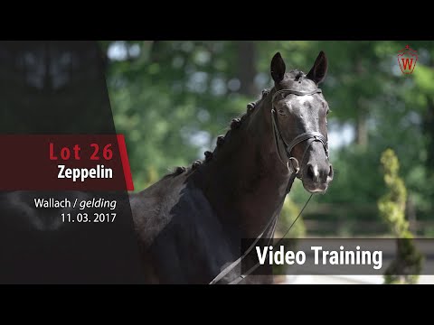 26 Zeppelin v. Zonik One - Ginsberg_Trainingsvideo
