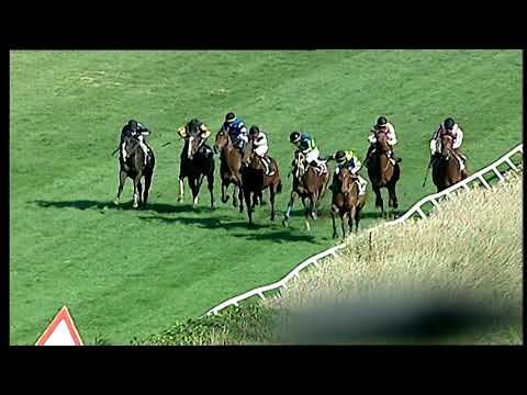 Napoli Galoppo 16/02/2021 - 2ª corsa