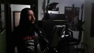 37 Orgy of flies   (COVER OF SARCOFAGO)