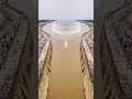Dam Water Release Viral Dam Water Youtubeshorts Dangerous Risk Rain