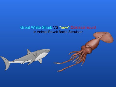 Colossal Squid Vs Great White Shark | Animal Revolt Battle Simulator