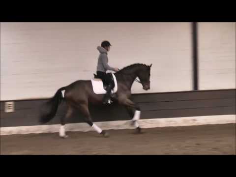 BENTO 4j. v. Belstaff - Londonderry -for sale- VB 6.500,- Euro