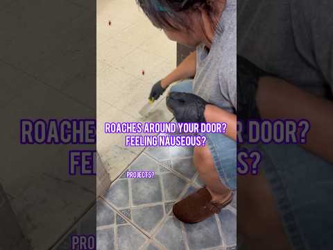 Roach Infestation: How I’m Taking Back My Apartment #Cleaning #LowIncomeLife #Roaches #PestControl