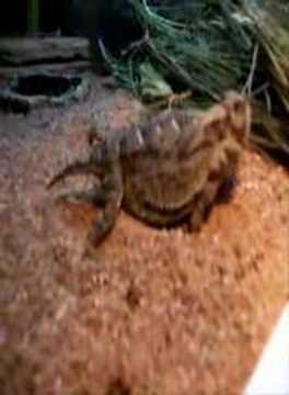 YouTube Video iU6jEpjzGLY