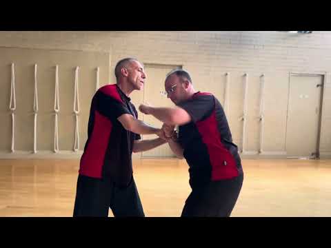 The meaning of the opening moments of Chen Pan Ling Taijiquan