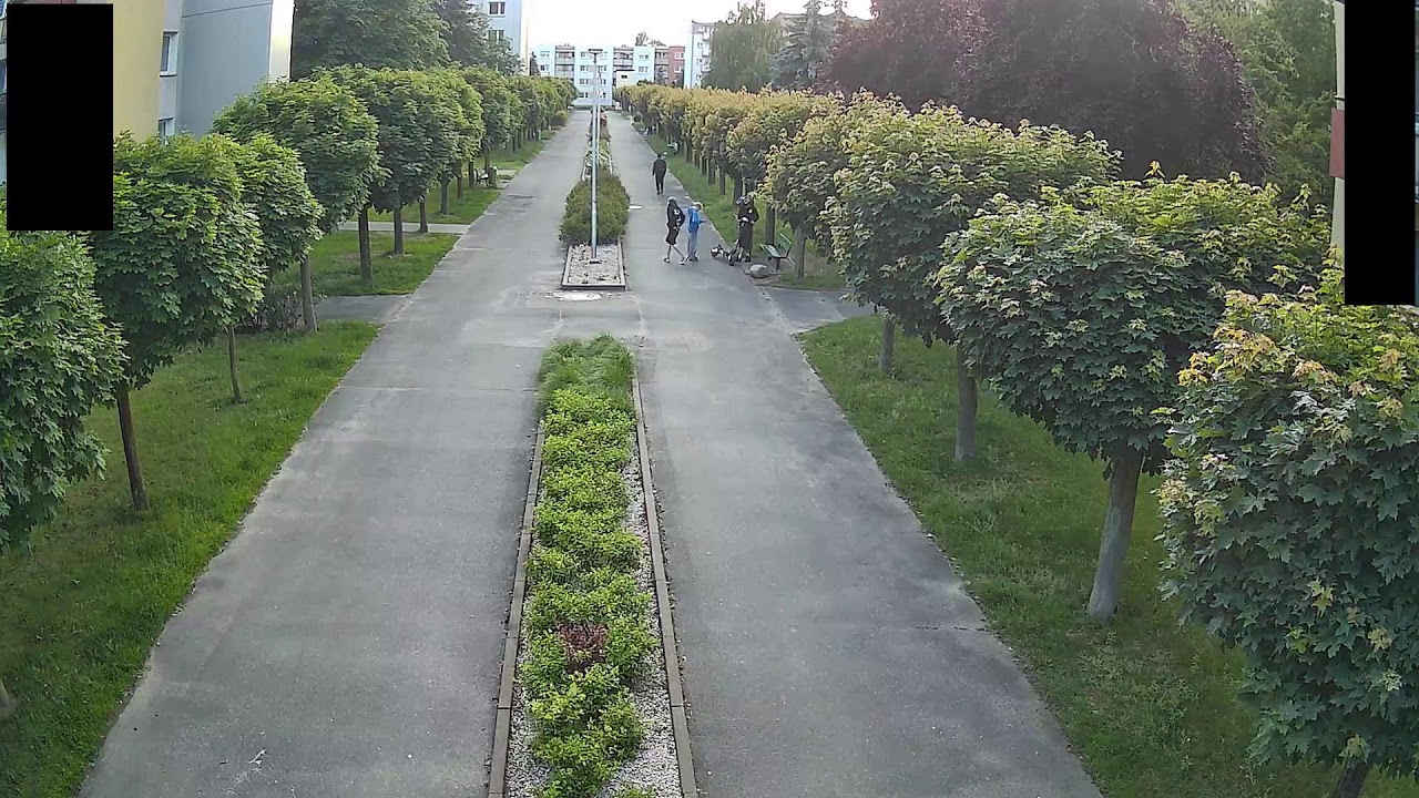Live webcam view of Batory Estate Tree-Lined Alley
