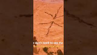 Download lagu @Naki the monster mp3