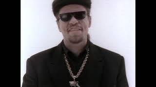 Ice T   - You Played Yourself