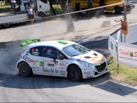 Best handbrake show @ 38° Rally Città di Modena