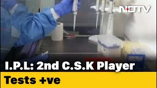 Second Chennai Super Kings Player Tests Positive For Coronavirus 3 Weeks Ahead Of IPL 2020 | DOWNLOAD THIS VIDEO IN MP3, M4A, WEBM, MP4, 3GP ETC