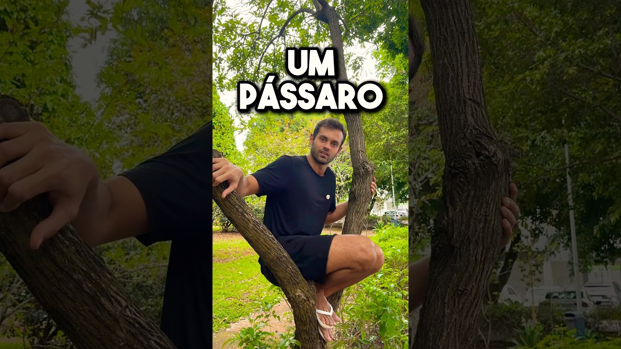 …não pousa num galho confiando que ele não vai quebrar #ansiedade #saúdemental