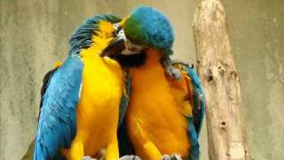 Mandalay - this life