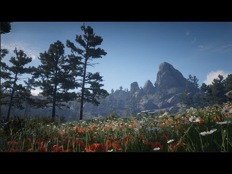 Red Dead Redemption 2 walkthrough Part 5 I Pc Gameplay