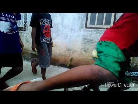 NGAPAK MAJENANG #ITAN CELALACELILI