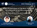 IJNA Webinar 11- From the eruption to the boat pavilion: the unique story of the Herculaneum boat