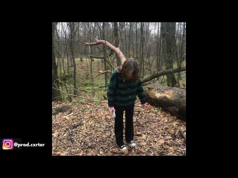 [FREE] fats'e x midwest emo "introvert" type beat (prod. cxrter x jibaorockin)