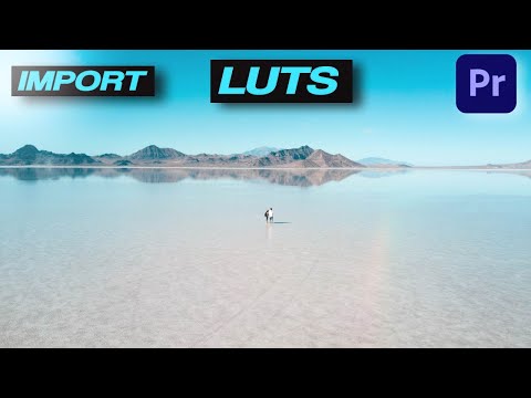 How To IMPORT LUTS Into PREMIERE PRO