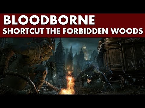 Bloodborne Shortcuts - Forbidden Woods Shortcut #2 - Elevator