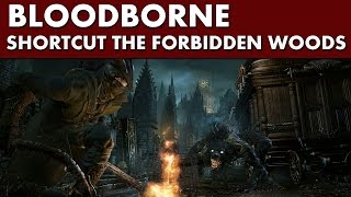 Bloodborne Shortcuts - Forbidden Woods Shortcut #2 - Elevator