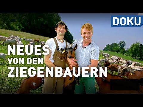, title : 'Neues von den Ziegenbauern vom Bergwinkel | doku | erlebnis hessen'