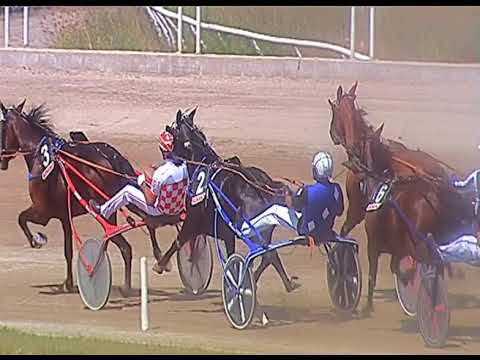 Trotto 13/06/2020 - 2ª corsa