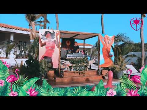 Welcome To The Very First Hedkandi Livestream - Poolside Aruba DJ Mike Van Loon