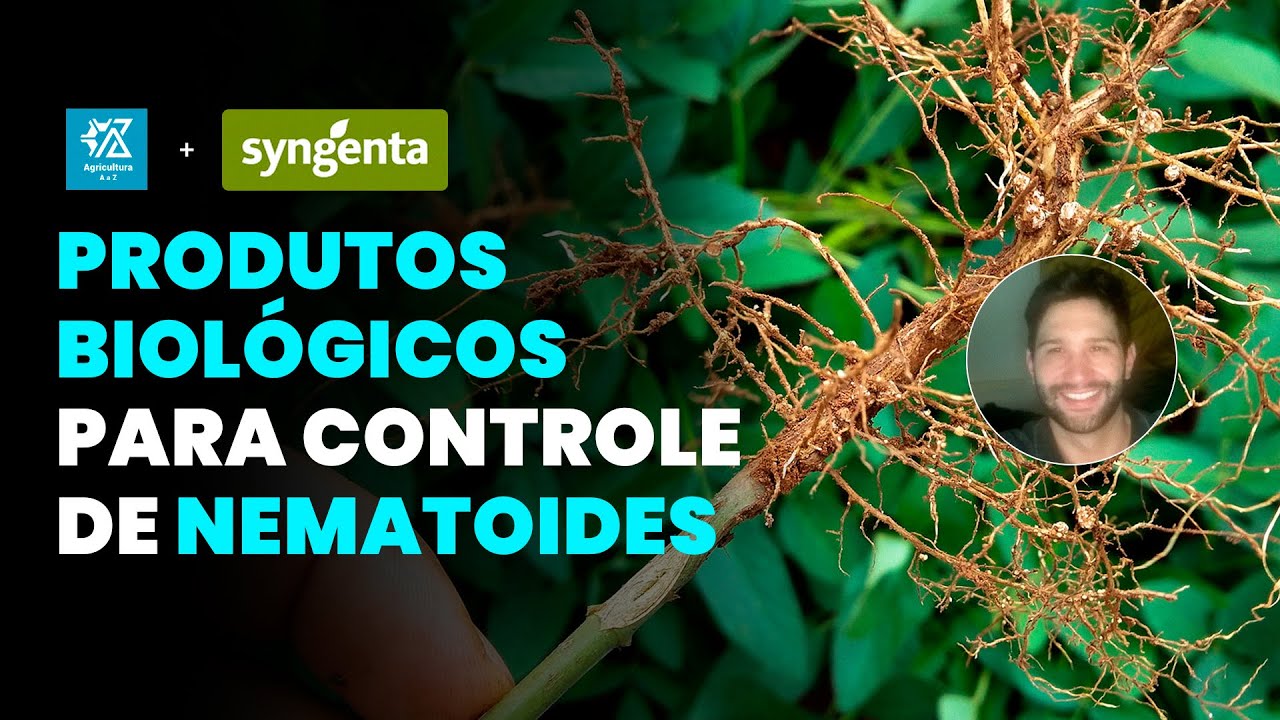 COMO CONTROLAR NEMATOIDES COM BIOINSUMOS