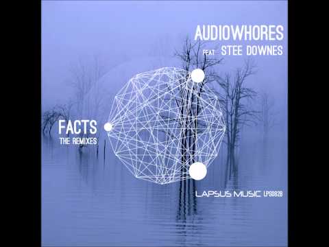 Audiowhores, Stee Downes - Facts (Guido P HSR Remix) PROMO