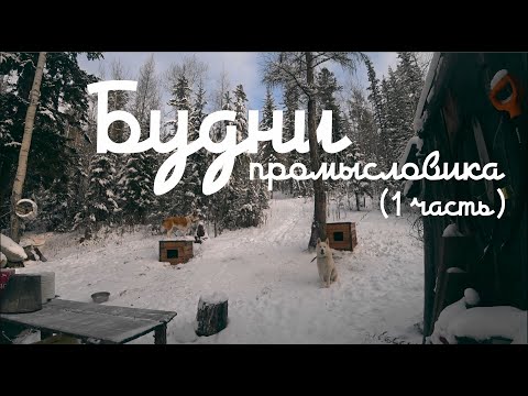 Будни промысловика