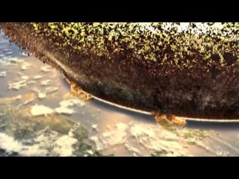 Rawderz - Apocalipsis (Raw Hardstyle Preview)