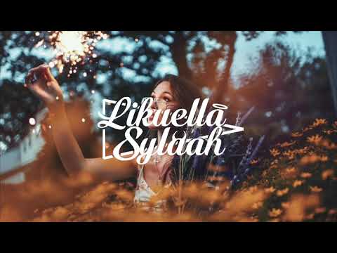 DJ SlydcoM ✘ DJ Blackstorm - Like Mood