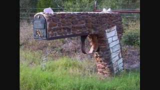 Johnny Shines ~ Trouble's All I See