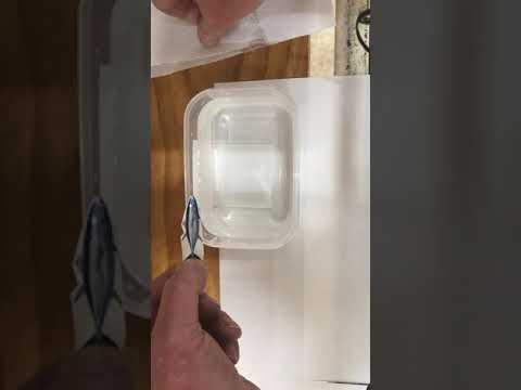 GR Waterslide Fish Decal Application