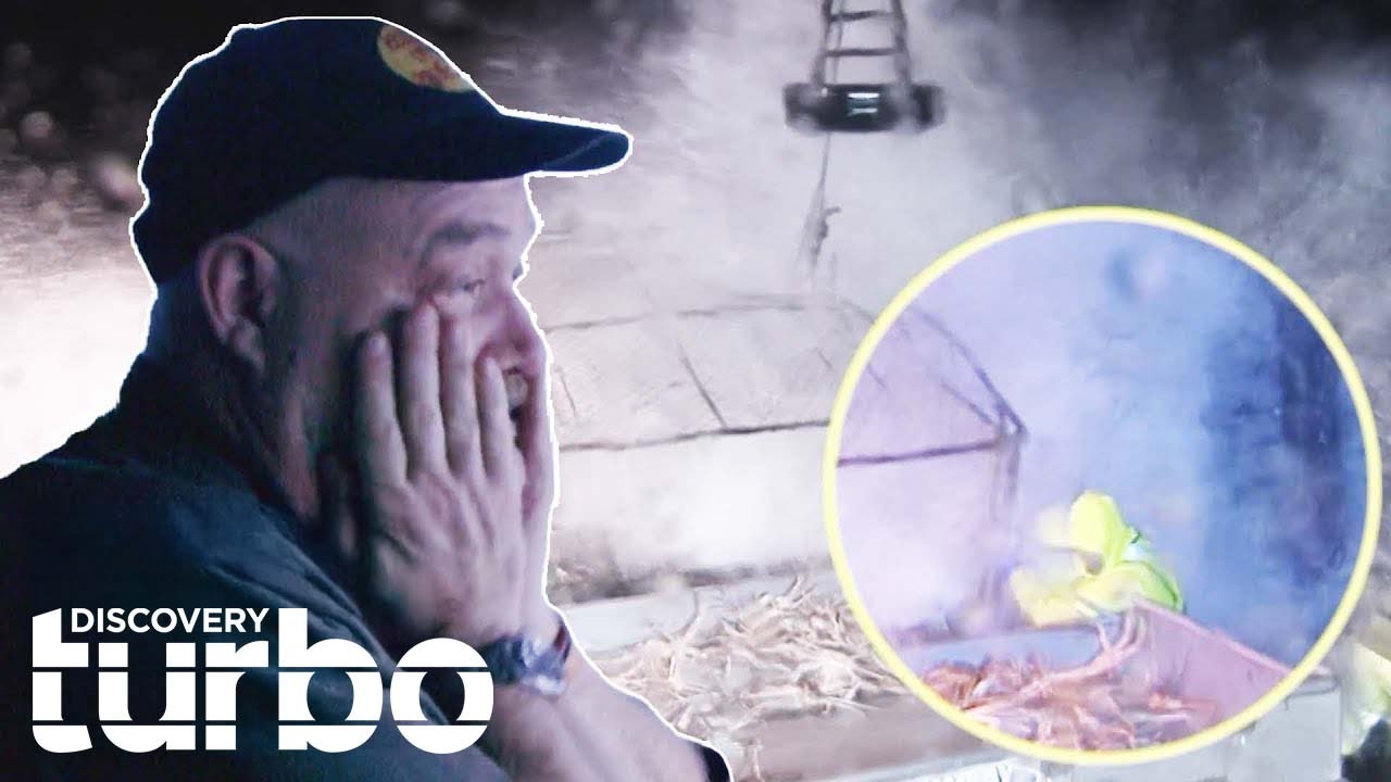 YouTube Thumbnail Downloader FULL HQ HÌNH ẢNH