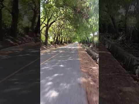 recorrido por las calle del Rincón del pino ya volvemos de Retorno no podimos yegar uvo un percance